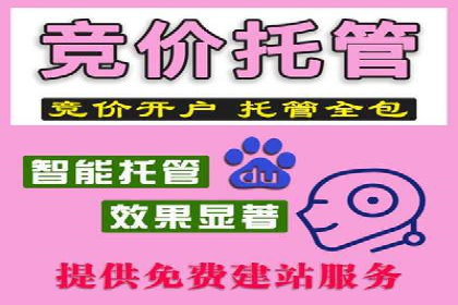 专业SEM托管，案例见证企业广告投放效果